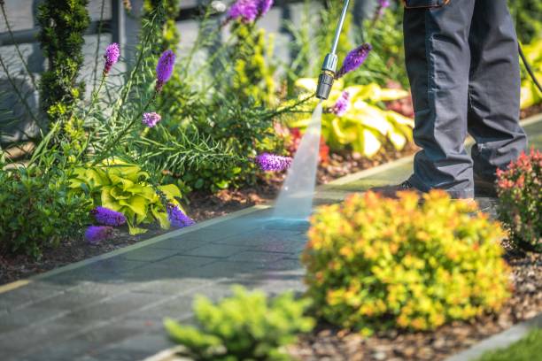 Best Winterizing Services  in Abingdon, MD